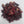 Load image into Gallery viewer, Egyptian Hibiscus