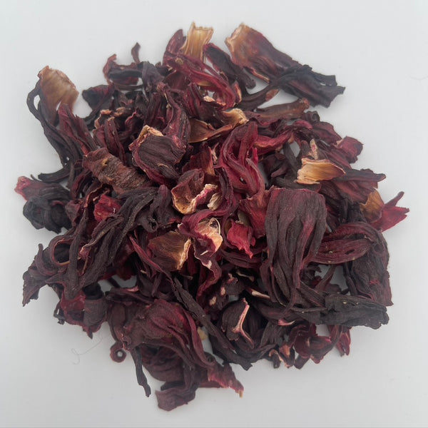 Egyptian Hibiscus