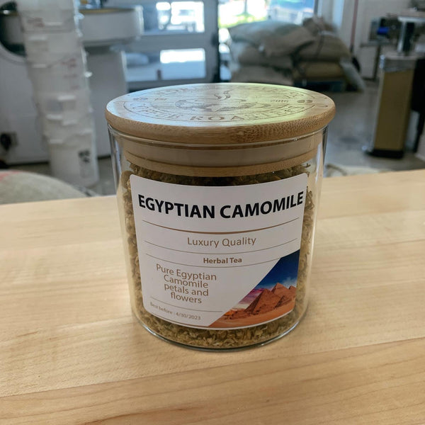 Egyptian Camomile