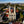 Load image into Gallery viewer, El Salvador, Ahuachapan
