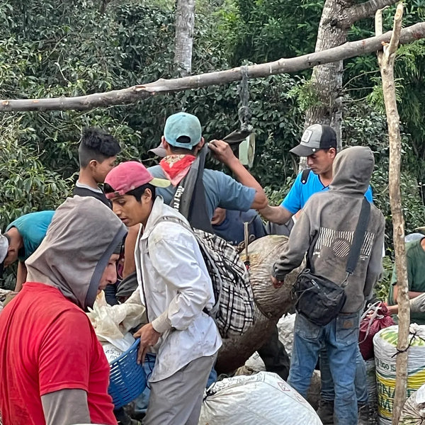 Guatemala Santa Marta