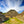 Load image into Gallery viewer, Mexico Altura Veracruz
