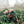Load image into Gallery viewer, Peru Perales Huancaruna
